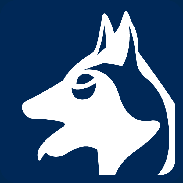 Aktivität: Husky