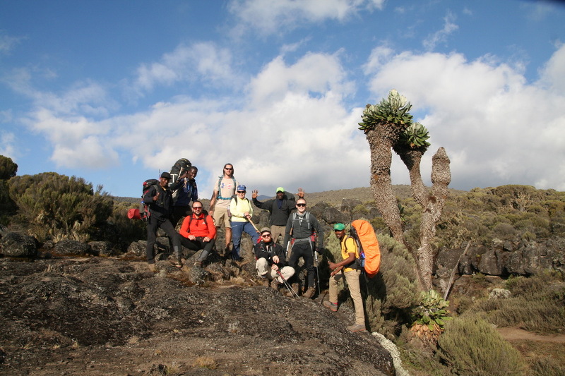 kilimanjaro tour beschreibung