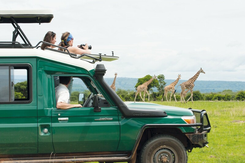 Pirschfahrt am Morgen und Weiterfahrt nach Kisoro