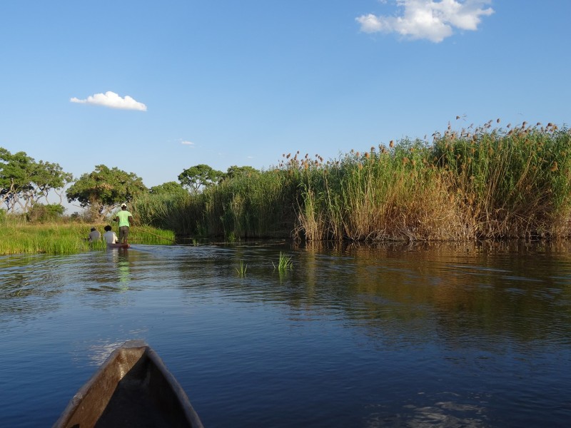 3 Tage Natur-Erlebnis Okavango-Delta mit 2 Übernachtungen auf einer Insel