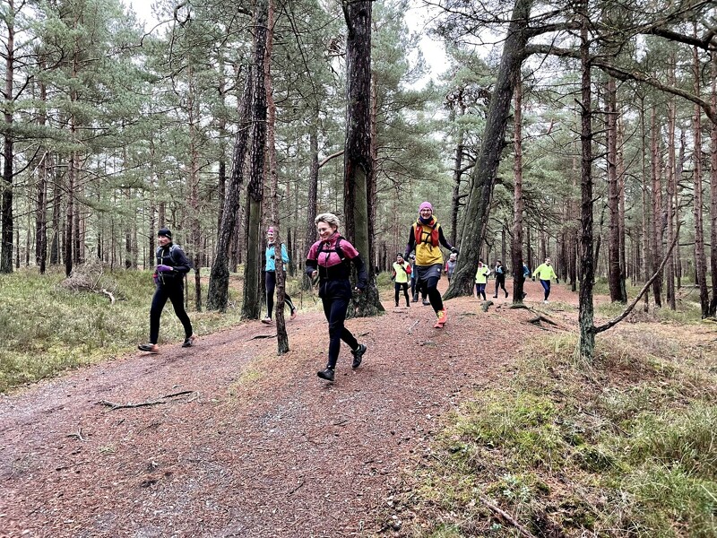 Läuferisch durch den Darßwald bis zum Weststrand