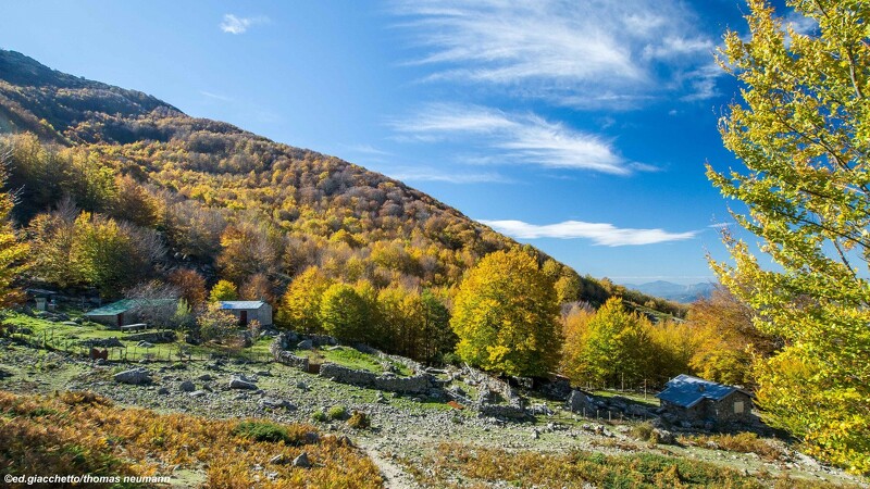 Wanderung im  Manganello Tal und Besuch einer korsischen Schäferei