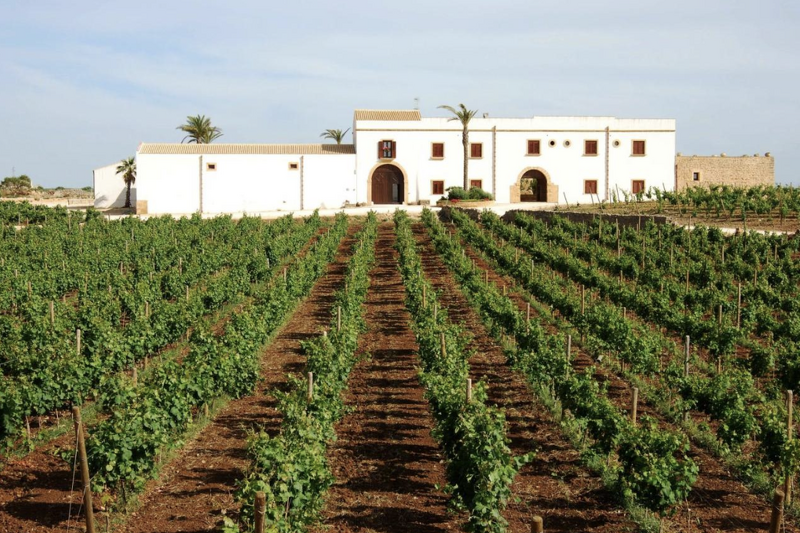 Erholung auf dem Weingut, optional Kochkurs