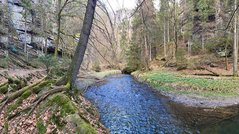 Von Porschdorf durch das Polenztal und den Hohburkersdorfer Rundblick nach Rathen