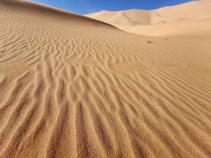Die singenden Dünen von Khongoryn Els
