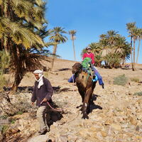 Das 6-tägiges Kameltrekking führt Sie an Oasen vorbei und teils auch durch die steinige Sahara