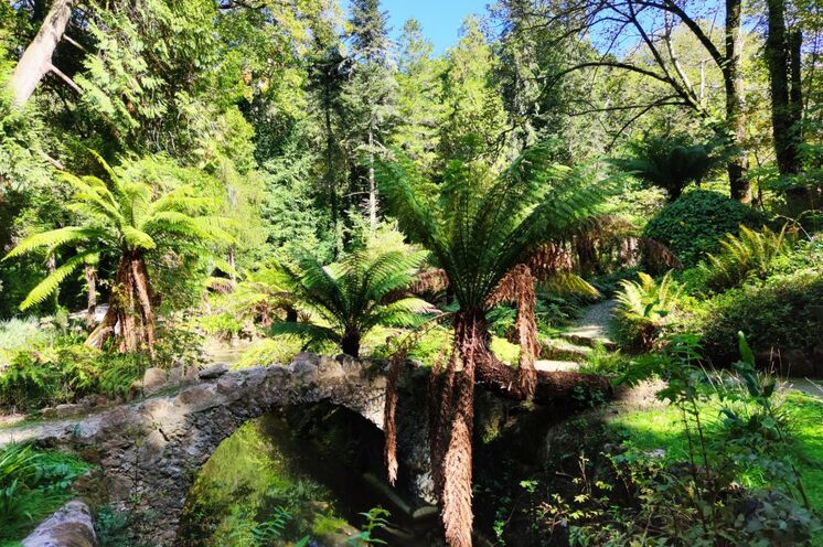 Durch verwunschen anmutende Gärten und grüne Wäder wandern Sie zu den Sehenswürdigkeiten des Sintra-Gebirges
