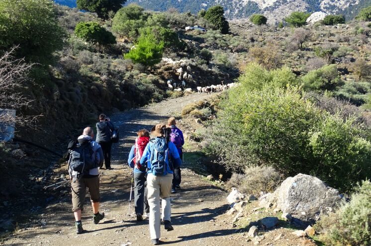 Sie können sich oktional  für eine Anschlussreise nach Kreta entscheiden; hier erkunden Sie die Umgebung auf sehr leichten Wanderungen