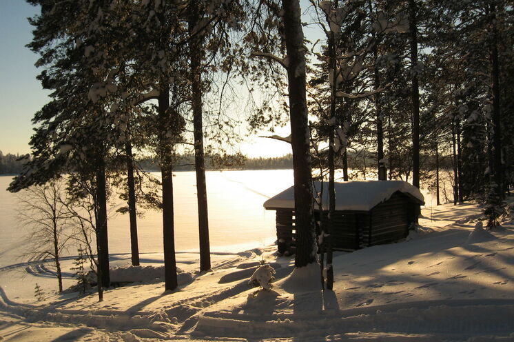 Skilanglauf in Finnlands wildem Osten führt Sie durch dichte Wälder, über zugefrorene Sümpfe und Seen.
