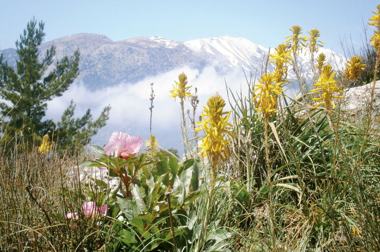 Das Dikti-Gebirge im Frühjahr noch schneebedeckt