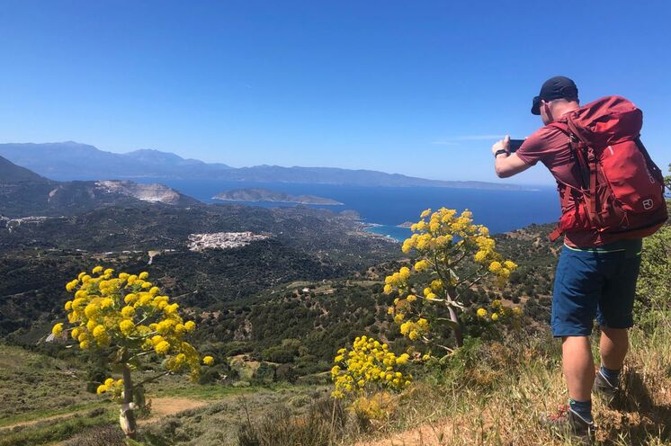 Blühender Riesenfenchel: Unsere erste Gruppe 2024 (April) entdeckt den Frühling auf Kreta.