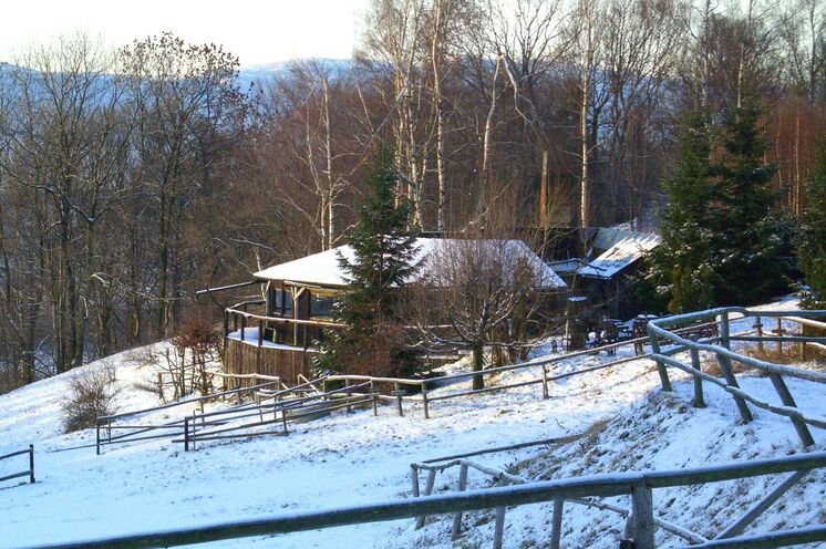 Die "Mufflonhütte" ist eine private Anlage mit einer Holz-Baude auf ca. 600 m auf dem Höhenzug des Bober-Katzbach-Gebirges. 