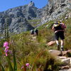 Outdoor-Paradies Western Cape und Kapstadt