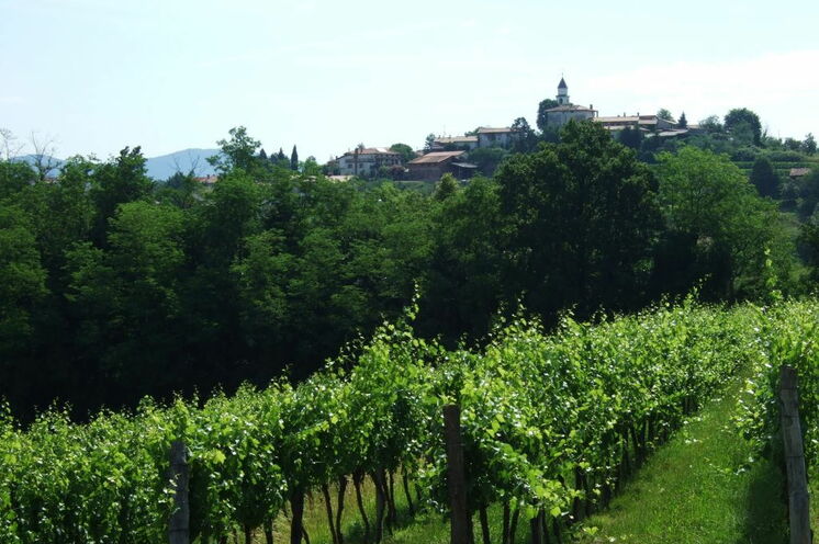 Unterwegs in der Weinregion Goriška Brda