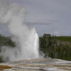 Naturreise vom Yellowstone zum Pazifik
