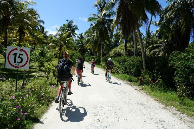 ... oder eine kurze Radetappe durch eine Kokospalmen- und Vanilleplantage