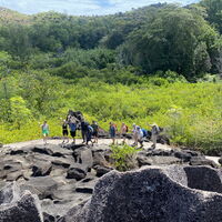 Phantastische Aussichten bieten sich immer wieder wie bspw. hier auf der Exkursion im Mangrovenwald auf der Insel Curieuse, auf der auch etwa 200 Aldabra-Riesenschildkröten von Wildhütern betreut werden