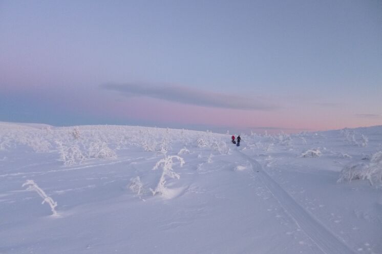 Die Stille und winterliche weiße Weite der Landschaft Lapplands verinnerlichen Sie...