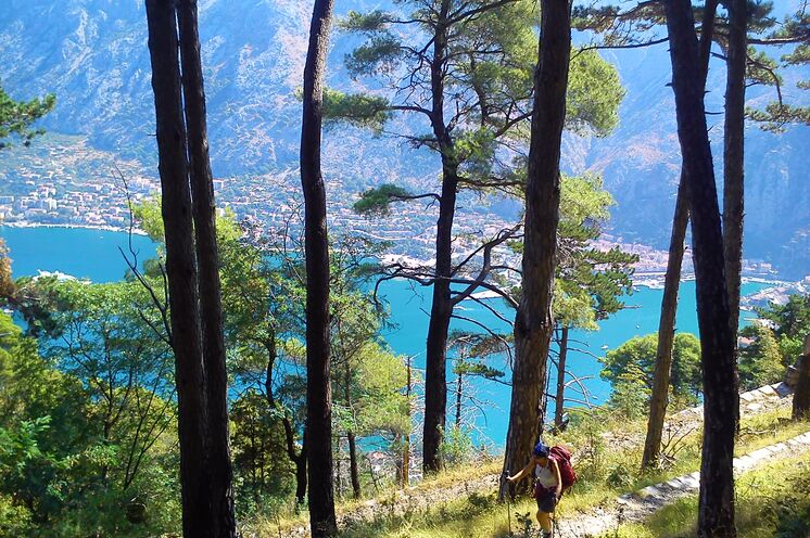Sie wandern u.a. auch auf den Gipfel des Vrmac an der Adria und können einen Rundumblick auf den Fjord von Kotor genießen