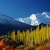 Im Thronsaal der Berggötter –  vom Nanga Parbat nach Hunza