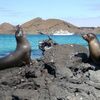 Verlängerungsbaustein: Wunderwelt Galapagos