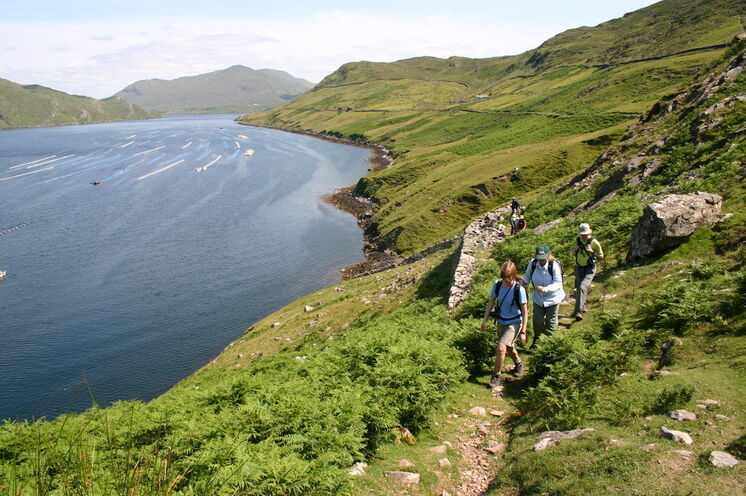Wandern am Killary Harbour - dem einzigen Fjord Irlands
