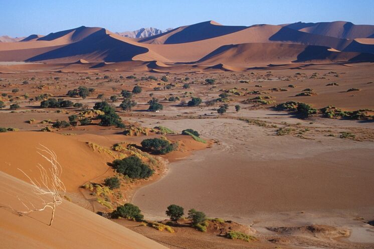 Ein Muss jeder Namibia-Reise - die Dünen von Sossusvlei.