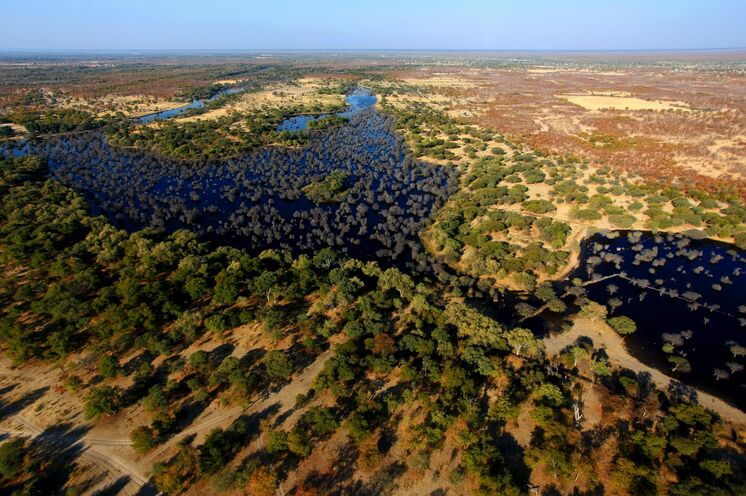 Das Okavango-Delta von oben. Wer möchte, kann optional einen Rundflug über das einzige Binnen-Delta der Welt buchen.