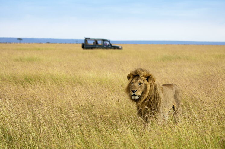 Auf den Pirschfahrten begegnen Sie den großen Tieren des Kontinents. (© Frank Wirth)