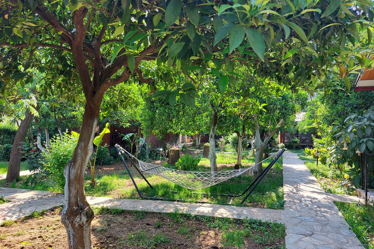 Orangenbaumgarten der Gunes Pension mit gemütlichen Rückzugsmöglichkeiten 