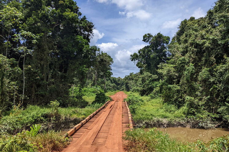 Mit Booten, zu Fuß und mit Jeeps erkunden Sie das Hinterland von Guyana.