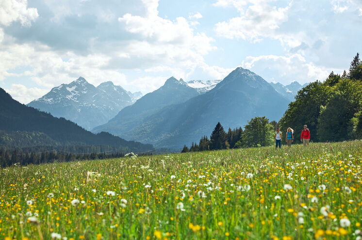 Herrliche Blicke auf die umliegenden Berge von Weißenbach (Copyright Verein Lechweg)
