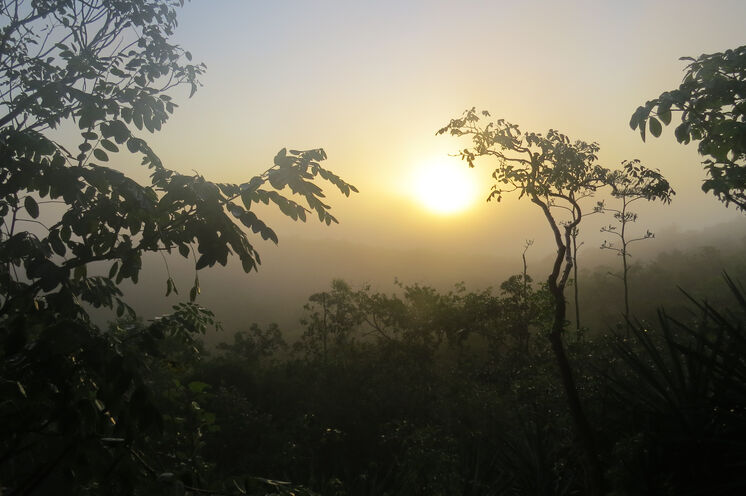 mystischer Morgennebel über dem Dschungel begleitet Sie beim Frühstück