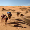 Sahara-Trekking Iherir, Erg Admer und mit Kamelen im einzigartigen Afara 