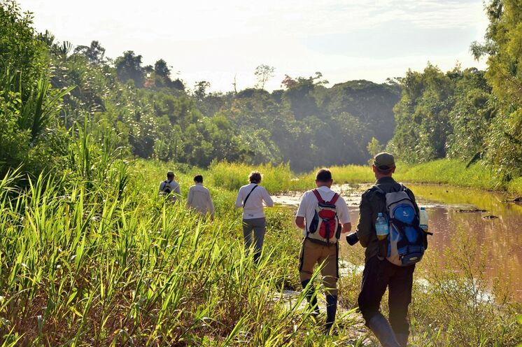 Erforschen Sie die Wunderwelt Amazonien aktiv und zu Fuß.