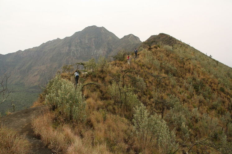 Neben dem Mount Kenya erklimmen Sie weitere Gipfel, einer davon ist der schlafende Vulkan Mt. Longonot (2776m).