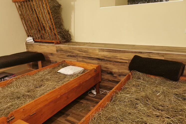 Neben den beiden Heubetten kann zum Entspannen noch die Sauna und die Salzgrotte genutzt werden.