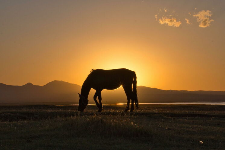 Erleben Sie die schönsten Sonnenuntergänge an einem der Juwele Kirgistans, dem Song-Köl