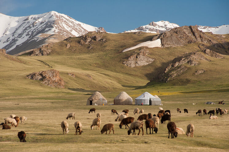 Jurten, schneebedeckte Berge und Tiere - die Hauptmerkmale des Nomadenlebens sind prägend für die kirgisischen Landschaften