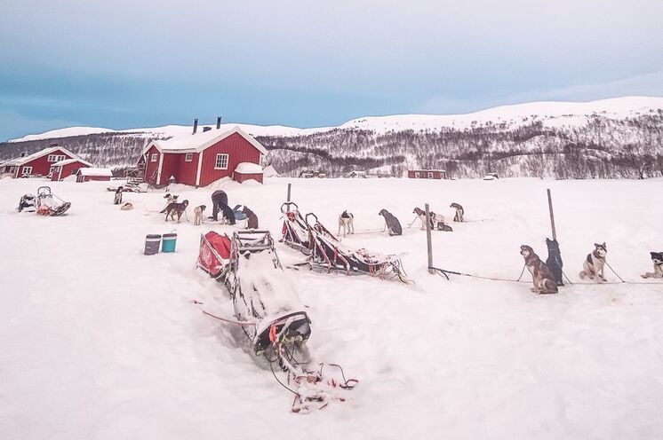 Am Abend erwarten Sie die gemütlichen Berghütten auf der Finnmarksvidda.