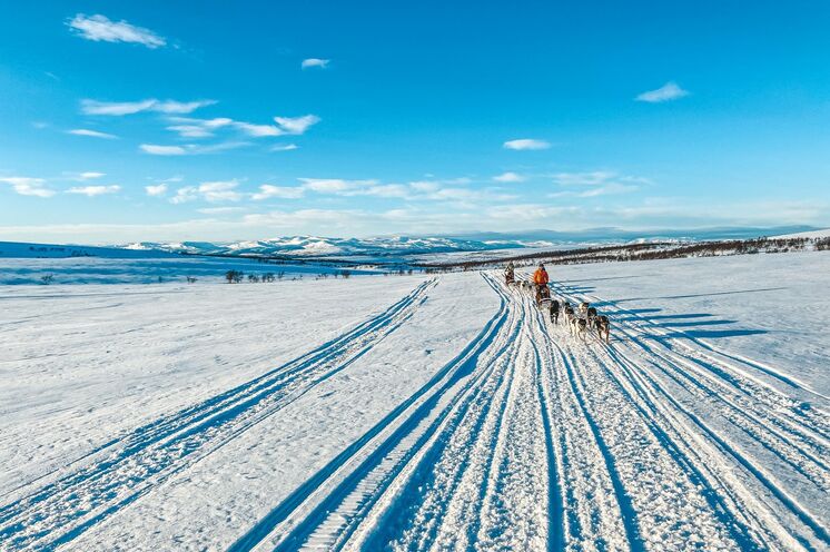 ...bei noch perfektem Schnee sind das ideale Bedingungen für eine außergewöhnliche Huskytour wie diese.