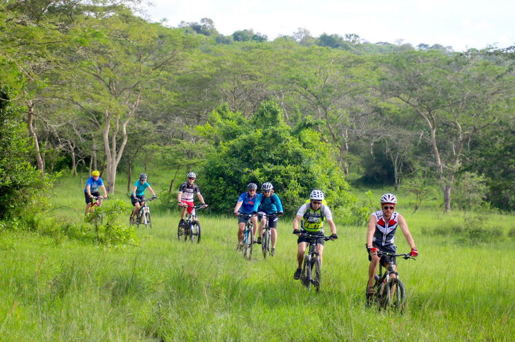Trail im Mburo National Park