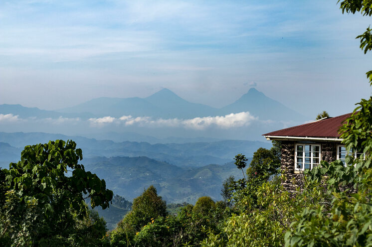 Blick auf die Virunga Berge