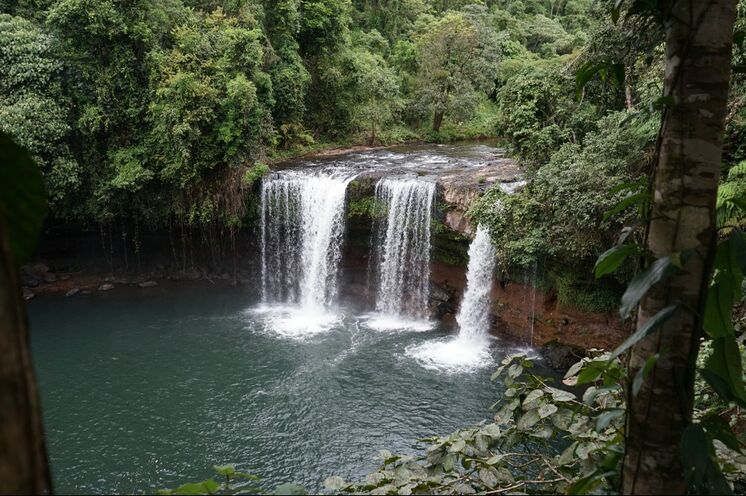 Tad Champee - einer der beeindruckenden Wasserfälle des Bolaven-Plateaus. 