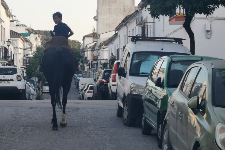 Typisch Andalusien! Hier wundert sich niemand, wenn Pferd und Reiter die Straße entlang kommen... (Straße in Prado del Rey, Nachbarort von El Bosque)