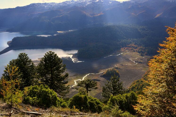 Grüne Wälder und schneebedeckte Vulkane: das chilenische Seengebiet