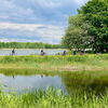 Radeln im Naturparadies Militscher Teiche