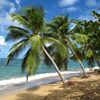 Zu Fuß durch Guadeloupe, Dominica und Martinique