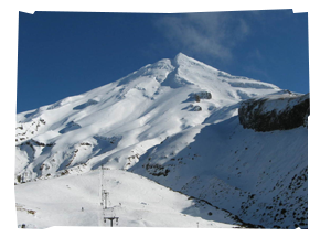 img_240X260
