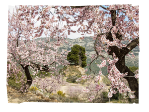 img_240X260